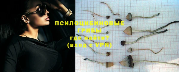не бодяженный Белокуриха