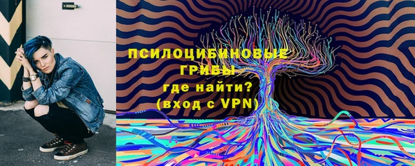 не бодяженный Белокуриха