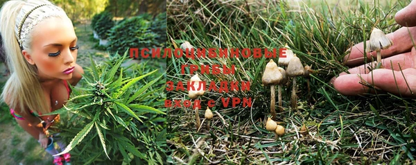 не бодяженный Белокуриха