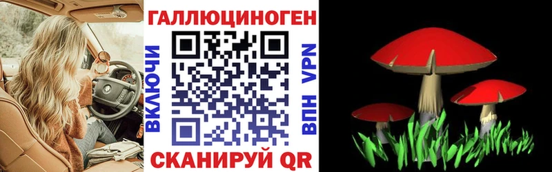 Псилоцибиновые грибы Psilocybine cubensis Трёхгорный